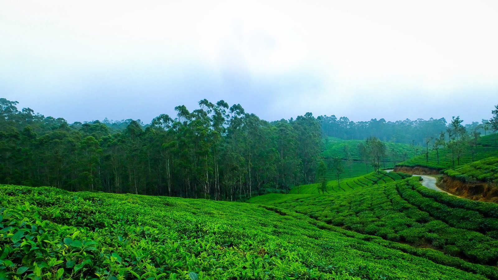 Vagamon Sightseeing Places
