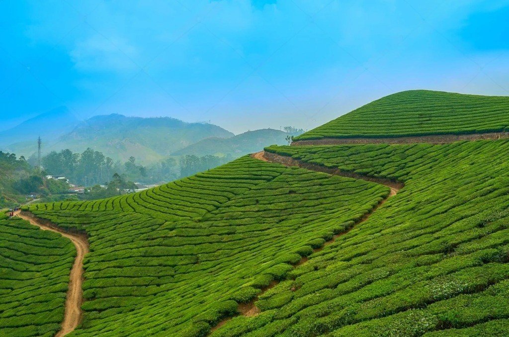 Budget Kerala Honeymoon Packages