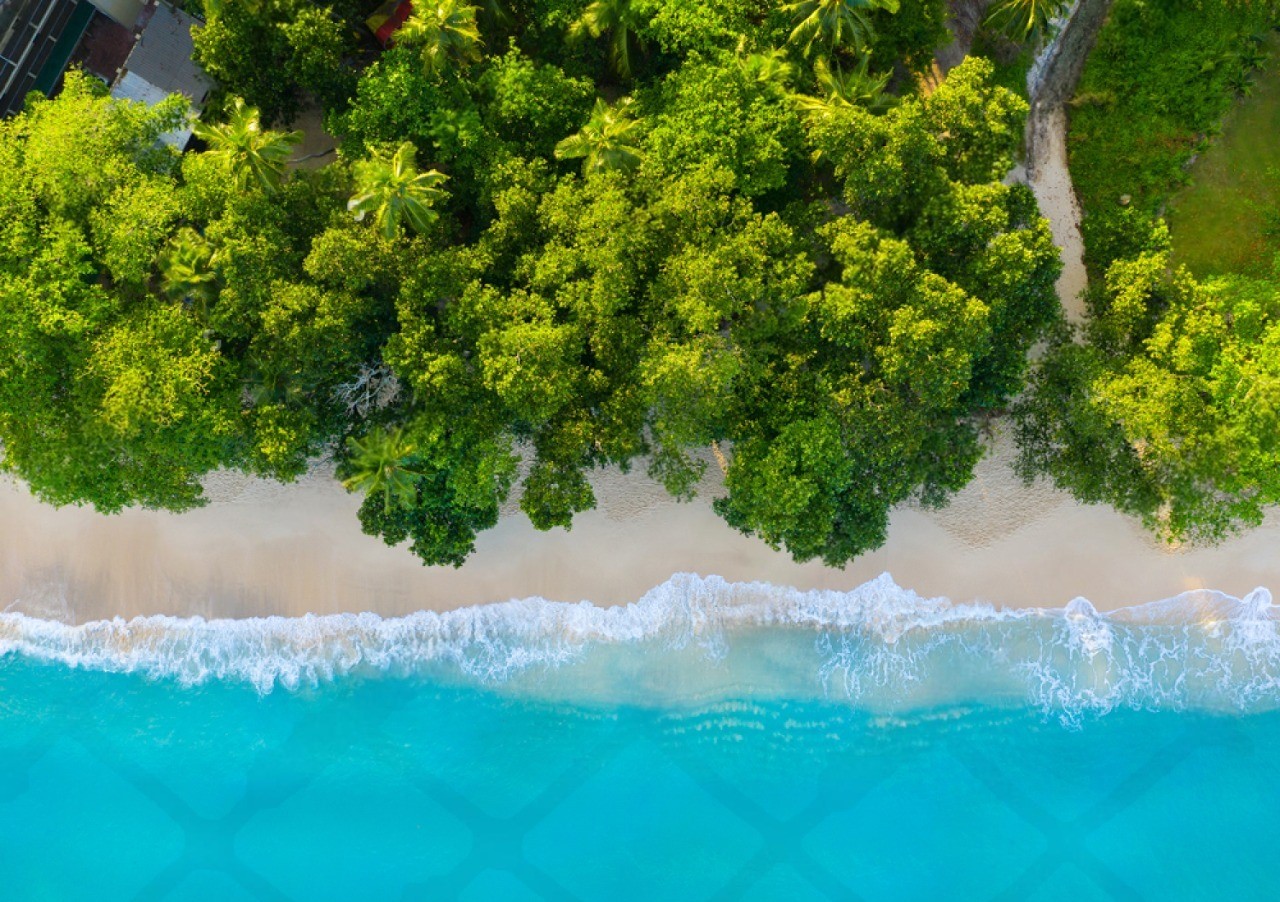 Kerala Honeymoon Monsoon Tips