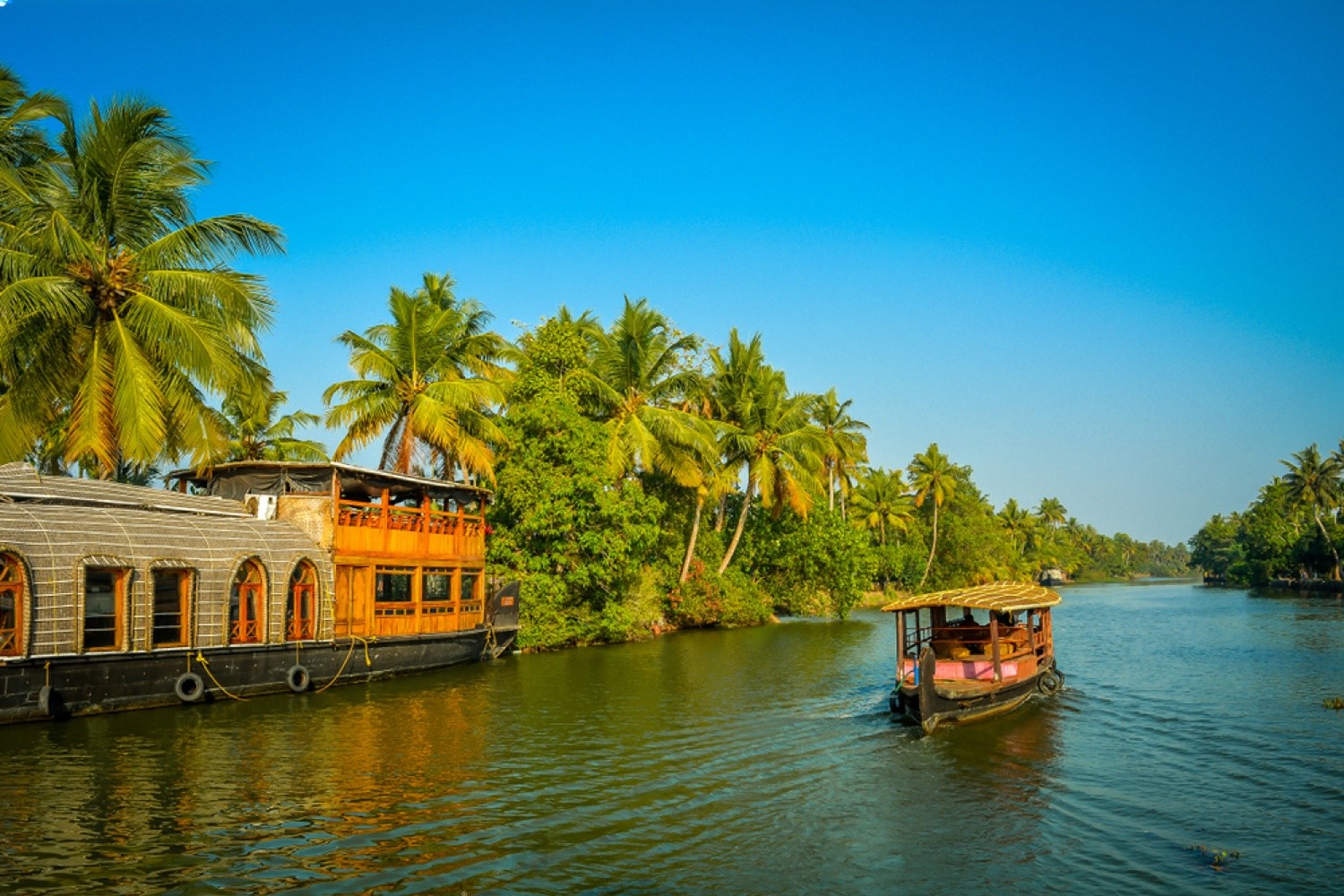 Shikara boating in Alleppey