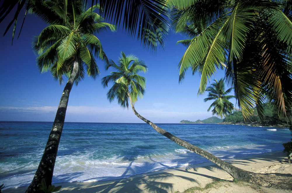 Eco-Tourism in Lakshadweep – Protecting Paradise While Exploring It
