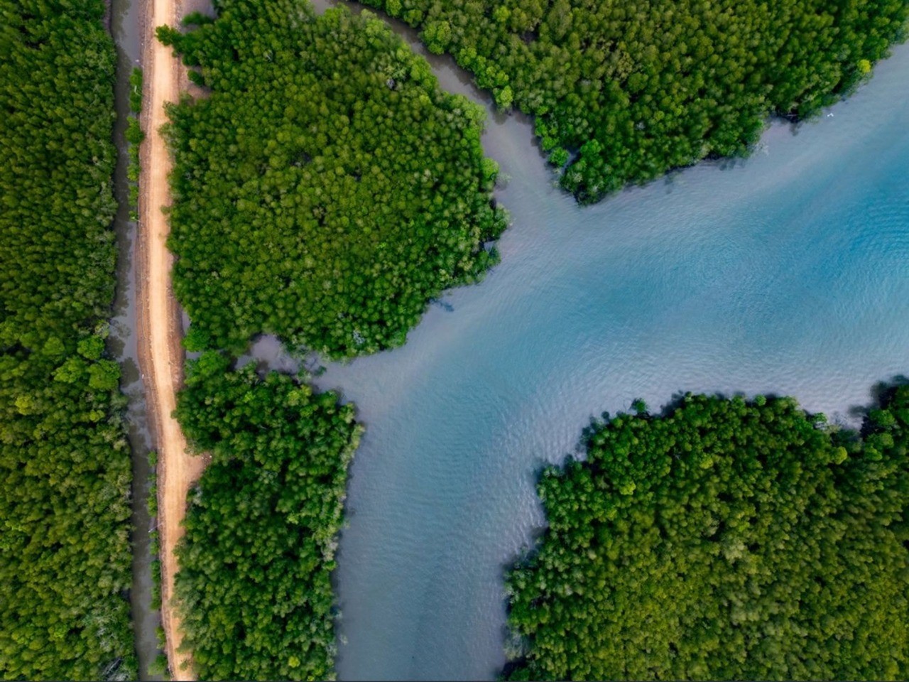 Affordable South India Tour Packages from Malaysia with Airfare and Hotels