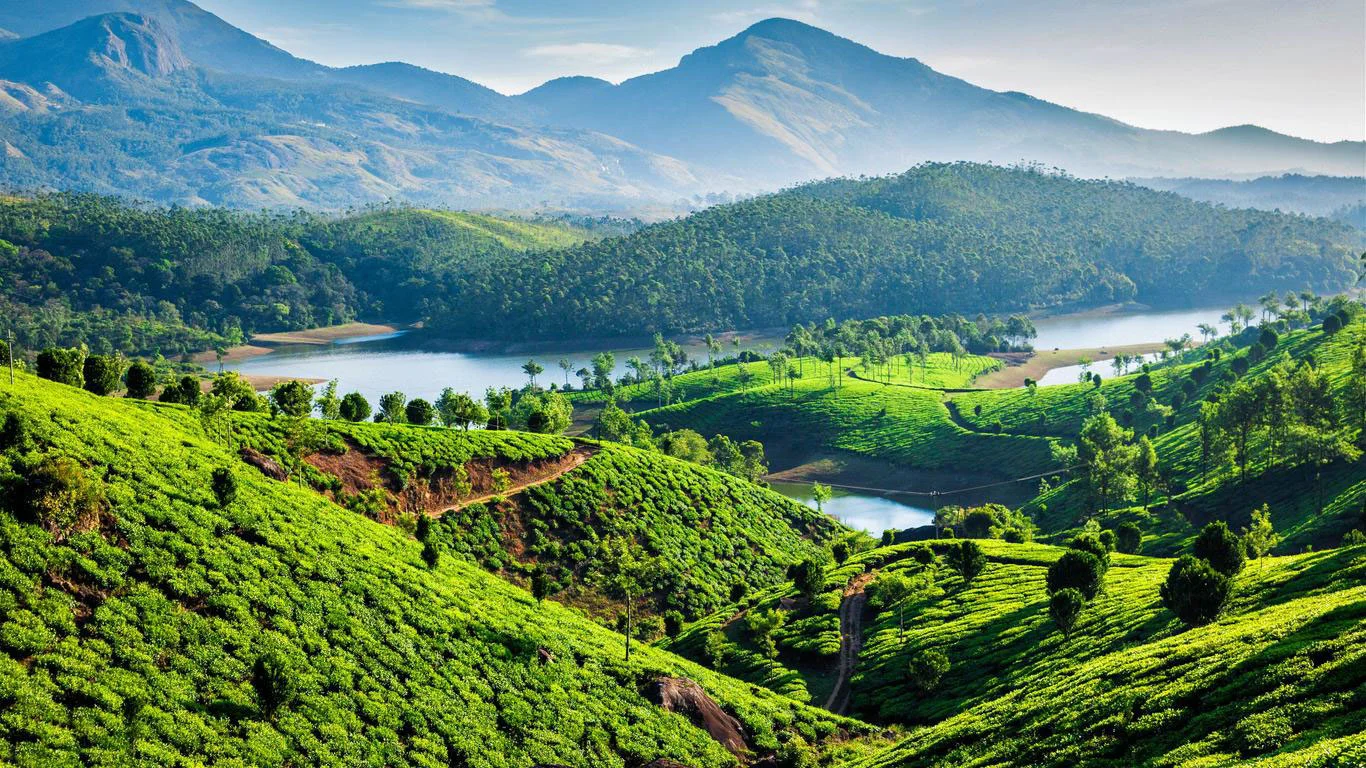 5 NIGHTS 6 DAYS  MUNNAR THEKKADY ALLEPPEY