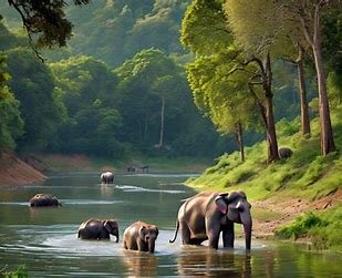 5 NIGHTS 6 DAYS MUNNAR THEKKADY VAGAMON KUMARAKOM