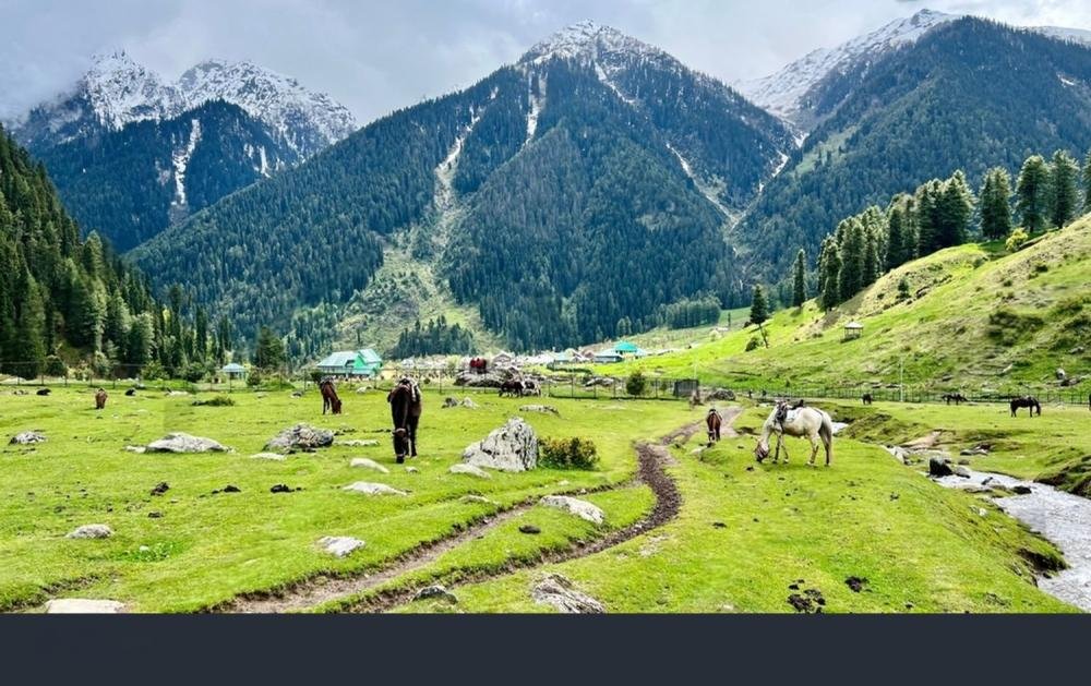 4 NIGHTS - 5 DAYS Kashmir Tour Package