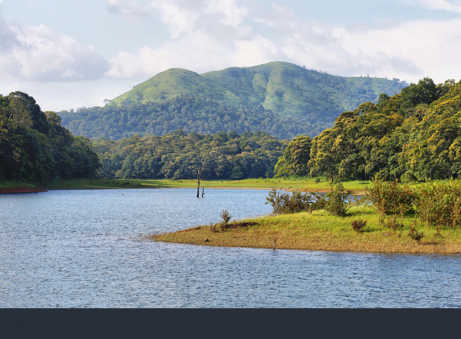 Cover image for Thekkady Activities by Lumiere Holidays: Nature & Culture