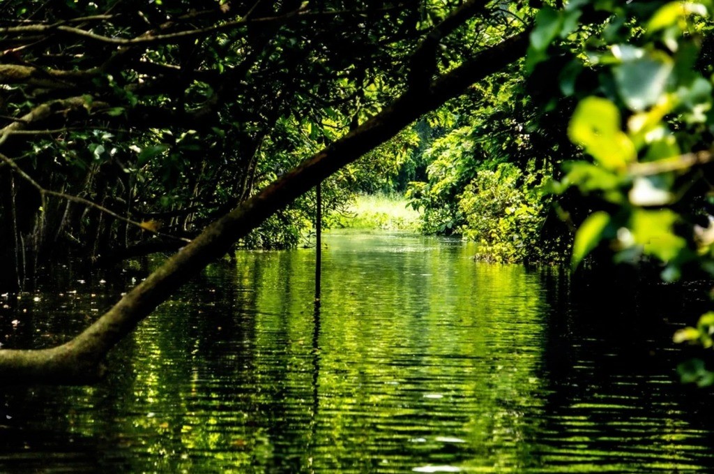 Cover image for Poovar Sightseeing Places Guide – Lumiere Holidays Kerala