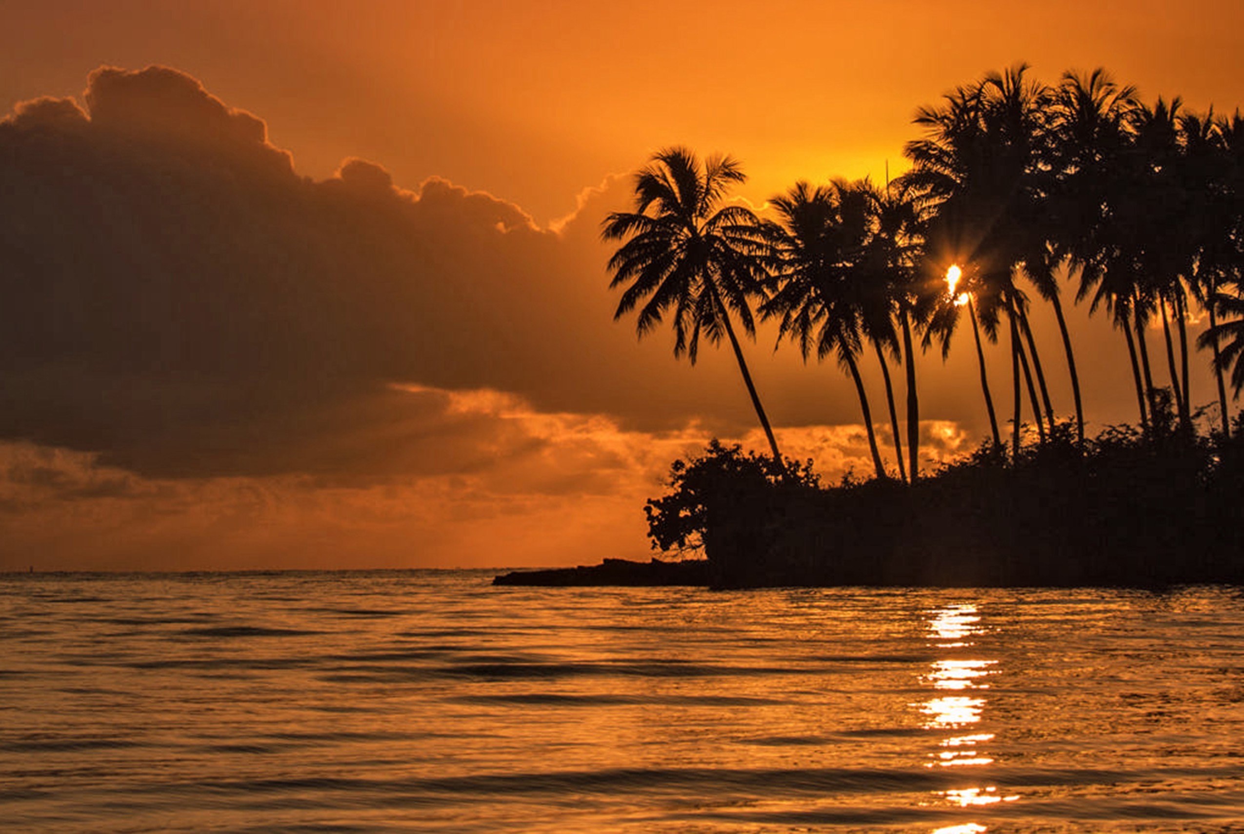 Cover image for Kerala Honeymoon Itinerary: Romantic 5-Day Couple's Plan