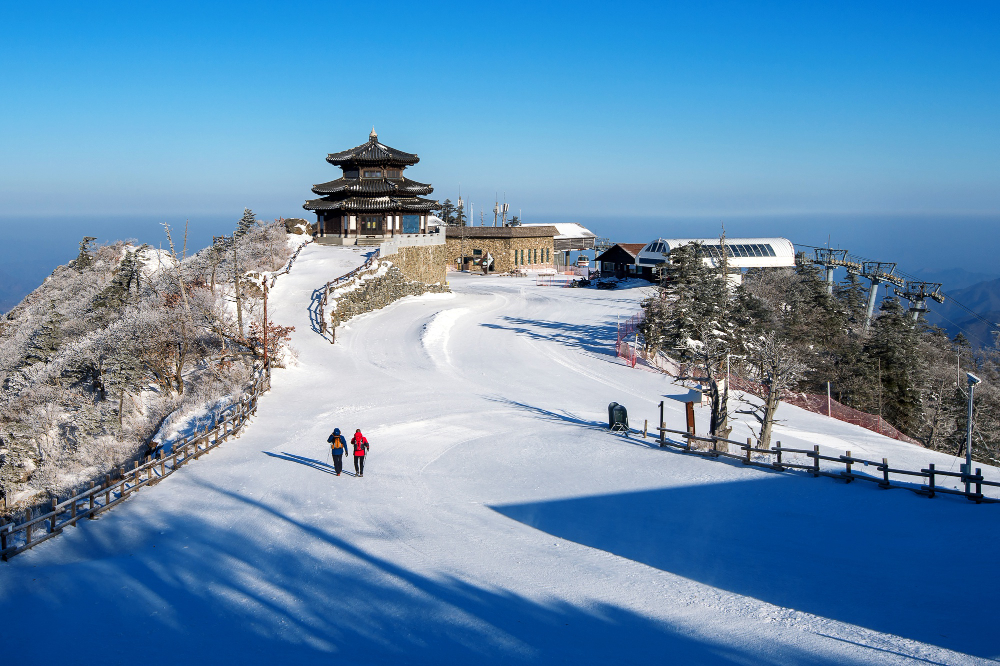 Cover image for 7 Days Kashmir Itinerary from Kerala | Lumiere Holidays