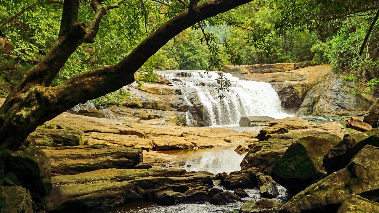 Cover image for Thomankuttu Waterfalls Guide | Lumiere Holidays Kerala