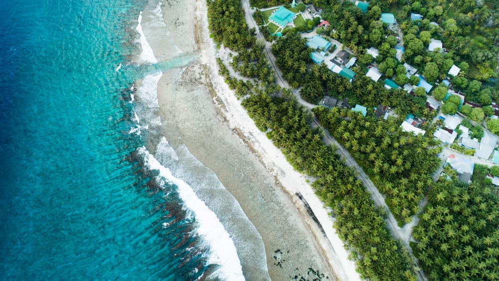 Cover image for Best Time to Visit Lakshadweep | Weather & Activities Guide