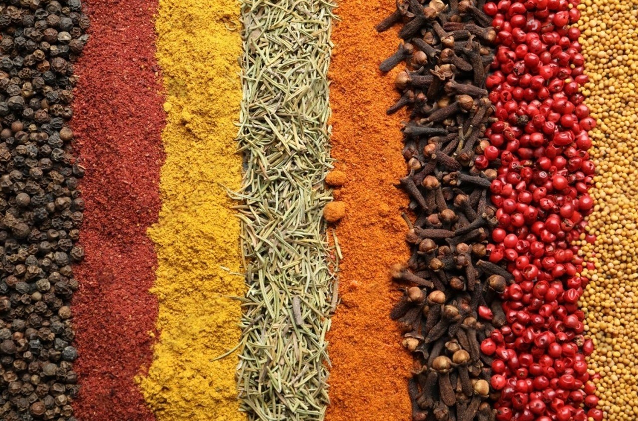 Cover image for Kerala's Spice Heritage & Modern Culinary Trails